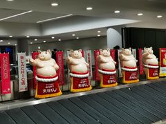 -中部国际机场