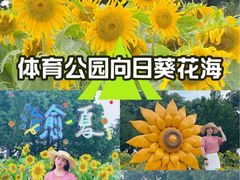 -苏州湾体育公园