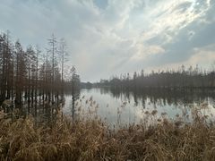 -白鹭湾湿地公园