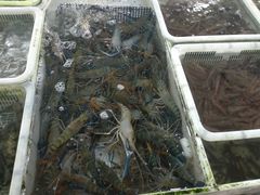 -南沙十九涌渔人码头-南门