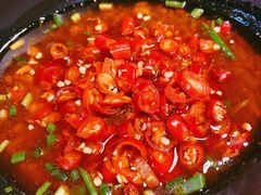 -味之绝热血美蛙鱼火锅(中坝店)