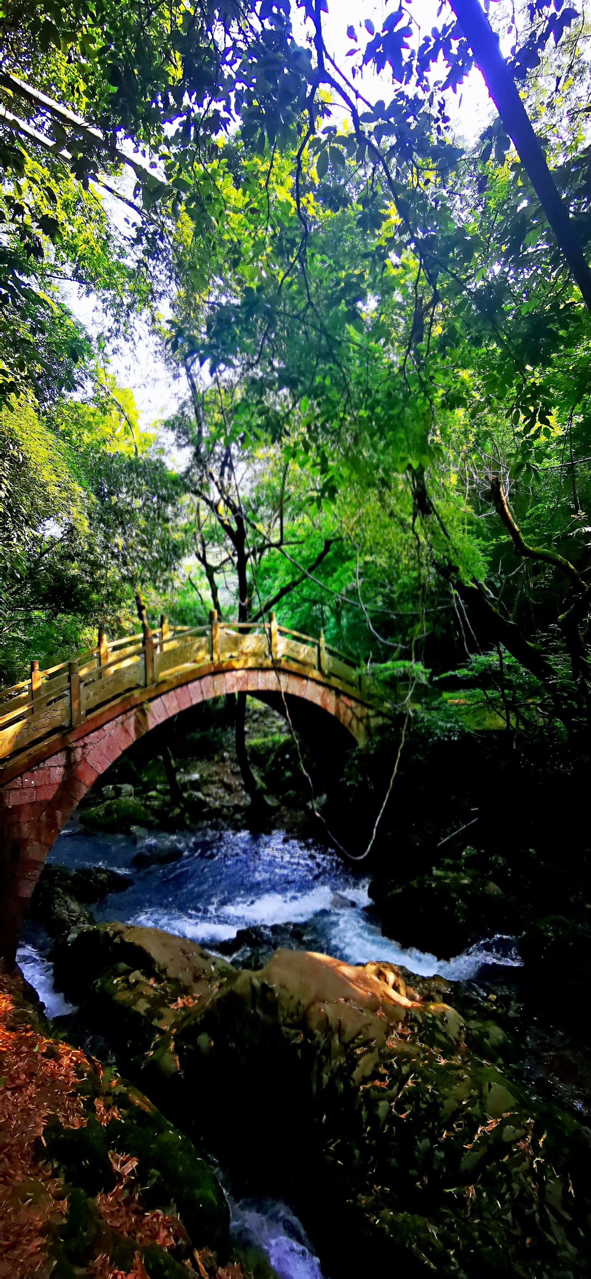 0元玩转这座城宁波市宁海县原有一个景区,名叫桃花溪森林公园