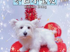 -佐罗家宠物馆·猫文化馆(紫霞路店)