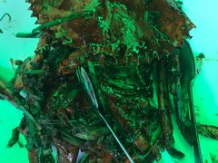 -無招牌海鮮(芽笼店)