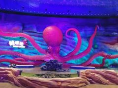 -青岛嘉年华主题乐园