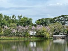 -大屏嶂森林公园
