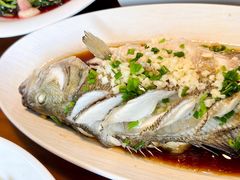 葱油鲈鱼-卢小厨私房菜(长兴店)