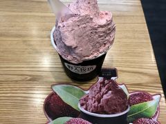 -野人先生现做冰淇淋(北京环宇荟店)
