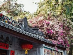 -深圳国际园林花卉博览园