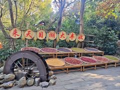 -天目湖山水园