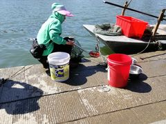 -海河游船-永乐码头(大悲院)