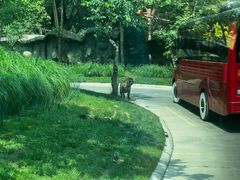 -北京野生动物园