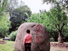 -东湖落雁景区