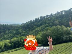 -敬亭山风景名胜区