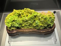 -安徽省地质博物馆