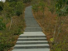 -聚龙山公园