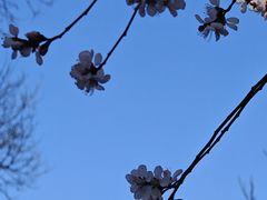 -碑林公园