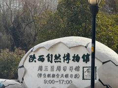 -陕西自然博物馆