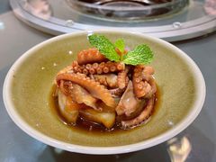 揉煮八爪鱼-金龙·打边炉(南京西路店)