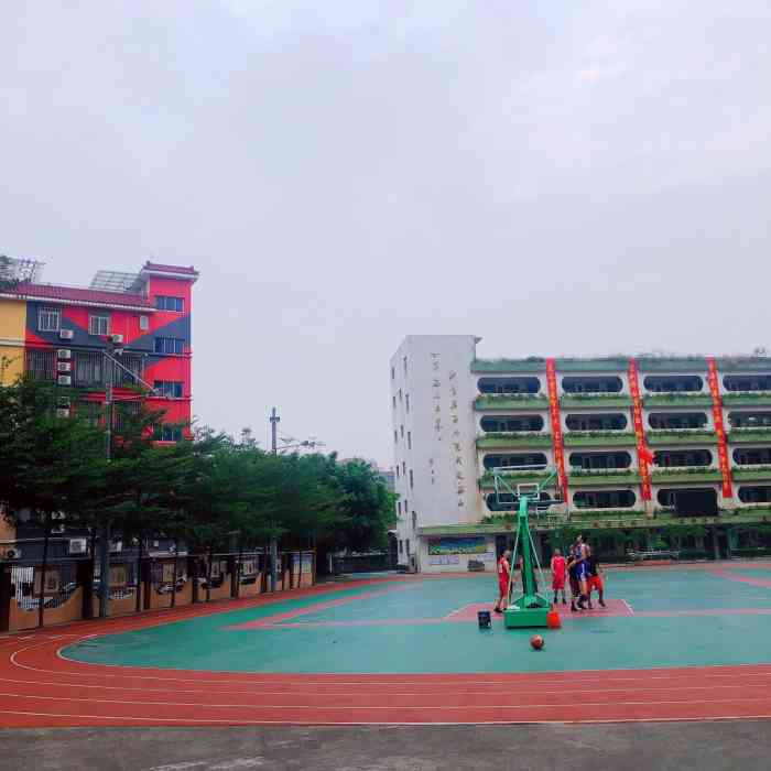 东星小学图片