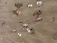 -六鳌翡翠湾滨海度假景区