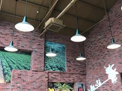 -星巴克臻选(嘉定疁城国际店)