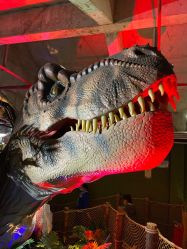 点击看大图 -恐龙探索乐园(磁器口店)