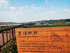 -空港花田景区