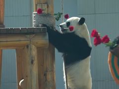 -无锡动物园·太湖欢乐园