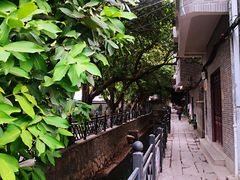 -小洲村