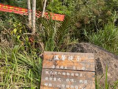 -普洱太阳河森林公园