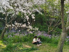 -苏州上方山国家森林公园