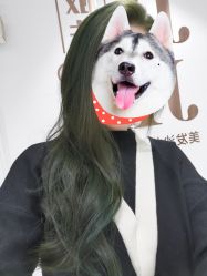 -镁连社·美联社