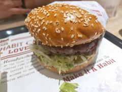 -The Habit Burger Grill 哈比特汉堡(爱琴海店)