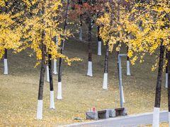 -重庆中央公园(渝北区)