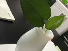 -北京老铺烤鸭(老城根店)