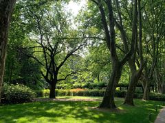 -上海共青森林公园