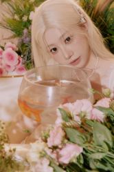 -WAVE SODA摄影工作室