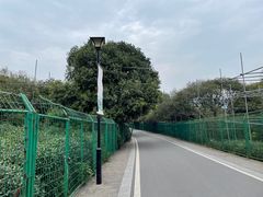 -树山生态村