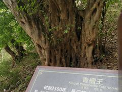 -皇藏峪国家森林公园
