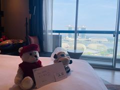 -新加坡瑞士史丹福酒店