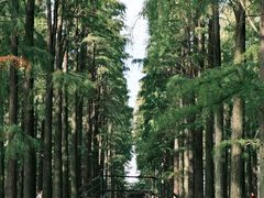 -渌洋湖湿地公园