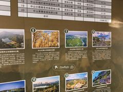 -中山市树木园
