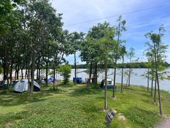 -上海海湾国家森林公园