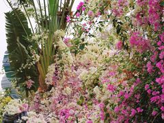 -深圳国际园林花卉博览园