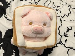 -可爱抓 COCO  GOTCHA(天津鹏欣水游城店)