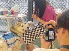 -怪兽屋·羊驼·猫咖·狗咖(俊华广场店)