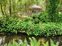-海南热带野生动植物园