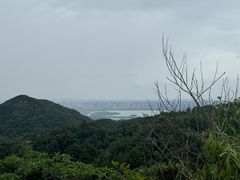 -十里琅珰