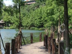 -重庆彩云湖湿地公园